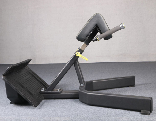 Indoor Exercise Muscle Back Extension Romeinse stoel Bankmachine voor fitness training