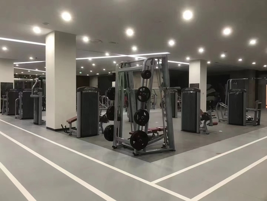 Optioneel Selecteerbare Frame Kleur Befreeman Multi Smith Machine voor Fitness Gym apparatuur