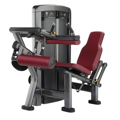 Medium Loader BeFreeMan Leg Press Machine 1.6*1.2*1.75 voor effectieve beentraining