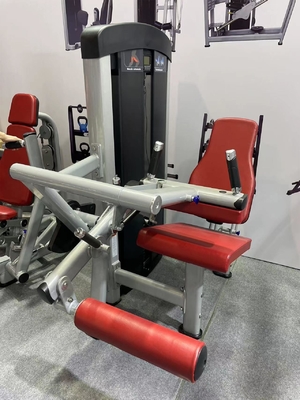 Medium Loader BeFreeMan Leg Press Machine 1.6*1.2*1.75 voor effectieve beentraining