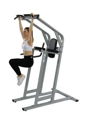 Gym Fitnessapparatuur Leg Lift / Pull Up Bar in twee lagen elektrostatische poedercoating