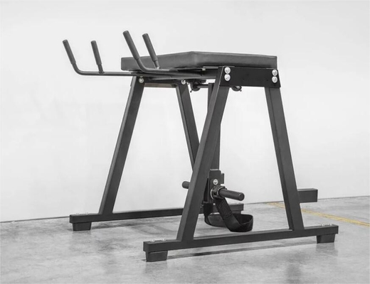 Op maat gemaakte Reverse Hyper Extension Press Beenspierexercise Equipment 2200*1500*2250mm