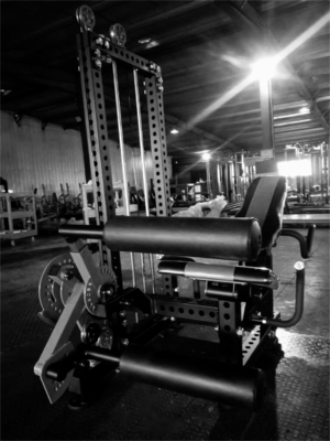 Zittend beenkruller/neigend beenkruller/beenverlenger Middelgrote laadmachine voor fitnessapparatuur van staal