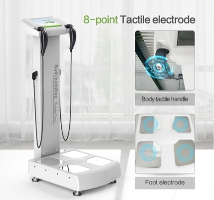 Gymcentrum BIA Body Inbody Analyzer Machine/Body Analyzer/Body Composition Analyzer