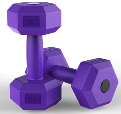 2.5kg Zwarte Rubber Hex Dumbbell Set Het ultieme gereedschap voor fitnessliefhebbers