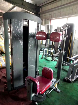 Commerciële gym fitness sets Steel Indoor Torso Rotation Machine voor optimale prestaties