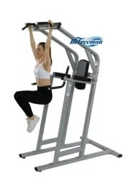 Sporttoerusting Tilt-up Bar Leg Lift en Borst Schouder Workout Power Tower Dip Station