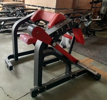 1380*1230*1160 BICEPS Freeman-sterkteapparatuur met optioneel selecteerbare raamkleur