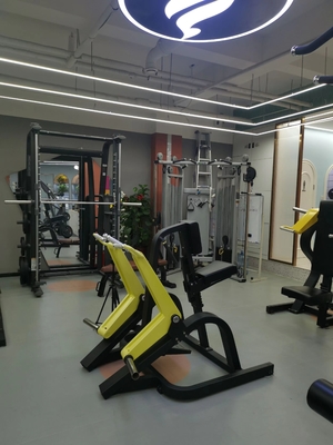 Home Gym Fitness Equipment Plaat geladen schouder pers op maat voor hoge normen