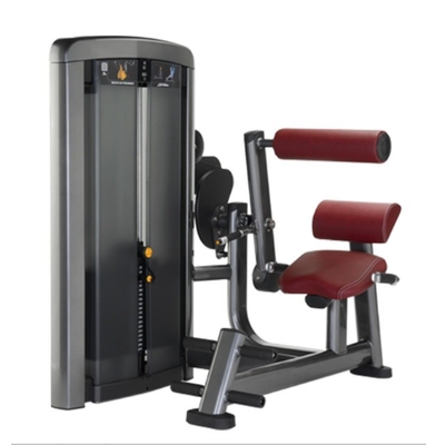 Fitness Bodybuilding Oefening Achtersteun Uitbreiding Pin Geladen Krachttraining