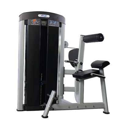 Fitness Bodybuilding Oefening Achtersteun Uitbreiding Pin Geladen Krachttraining
