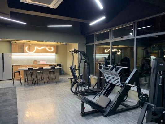Andere capaciteit Gymapparatuur Hack Squat Machine met optionele selecteerbare frame kleur