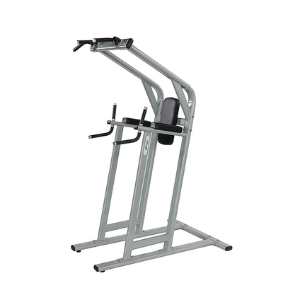 Gym Center Frame Kleur Optioneel Selecteerbaar Kin Dip Leg Raise Oefening Fitness Machine