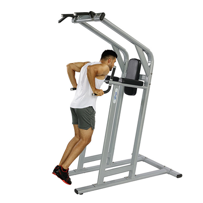 Gym Center Frame Kleur Optioneel Selecteerbaar Kin Dip Leg Raise Oefening Fitness Machine