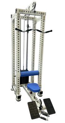 Universal Gym Commercial Fitness Equipment 2 in 1 Lat Pull down en Low Rowing Machine