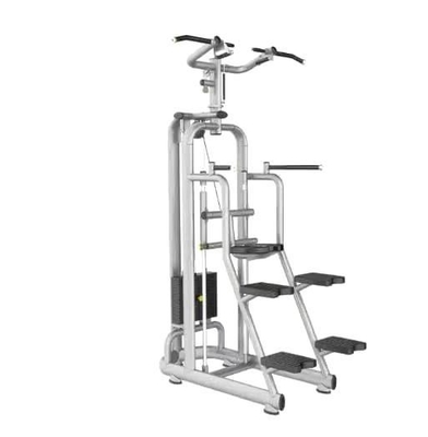 Medium Loader Strength Training Assist Chin Dip Machine Optioneel Selecteerbare Frame Kleur