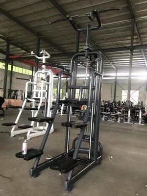 Medium Loader Strength Training Assist Chin Dip Machine Optioneel Selecteerbare Frame Kleur