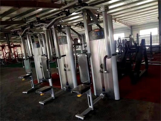2020 Design Commercial Rear Delt Pec Fly Machine met optioneel selecteerbare raamkleur
