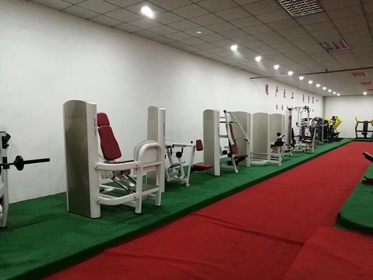 Commerciële sportschoolapparatuur Pinneloaded Abdominal Trainer Verstelbare rugverlenging machine