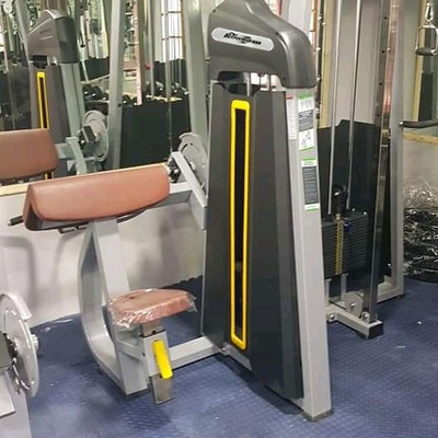 Commerciële krachttraining Gym apparatuur Bicep curl machine met op maat gemaakte ontwerp