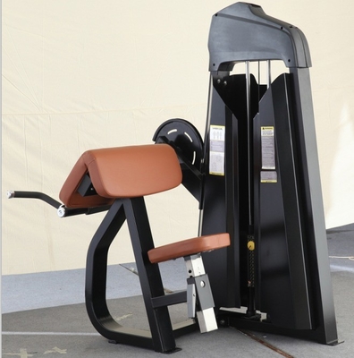 Pin geladen zittende schouders rug training camber curl biceps machine voor uw sportschool