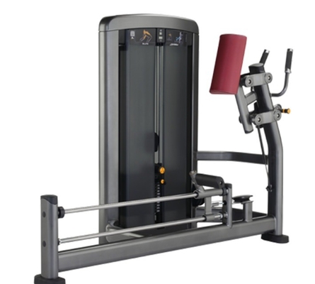 Sporttoerusting voor het bouwen van de quadriceps Middelgrote ladingstaande Glute Kickback Extension