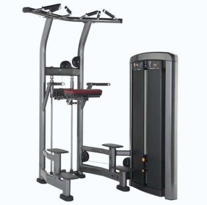 Staal Pin geladen trekbar Triceps Deltoids Workout Assisted Chin Dip Machine voor staal