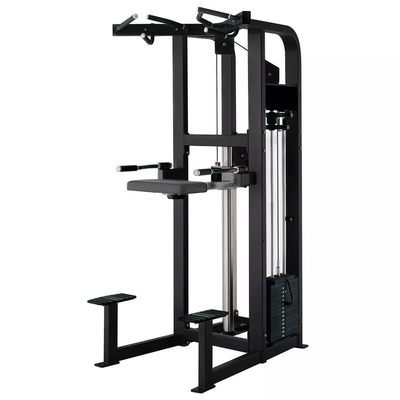 Gepersonaliseerde logo pin geladen fitness geselecteerde assistent dip kin machine voor bodybuilding 262kg