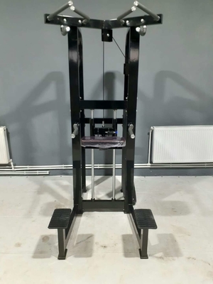 Gepersonaliseerde logo pin geladen fitness geselecteerde assistent dip kin machine voor bodybuilding 262kg
