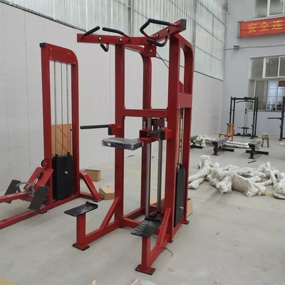Gepersonaliseerde logo pin geladen fitness geselecteerde assistent dip kin machine voor bodybuilding 262kg