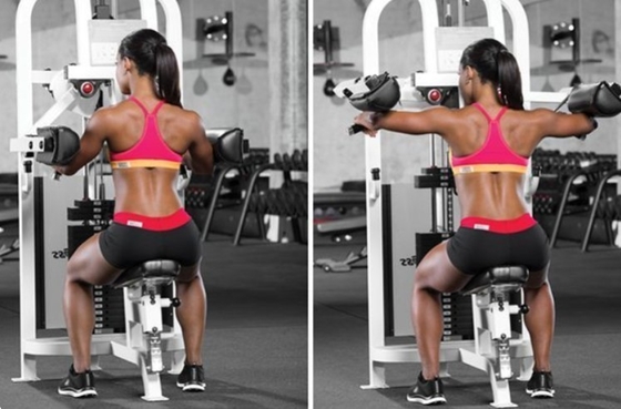 Gepersonaliseerd logo Gym Professionele fitnessapparatuur Pinneloaded Lateral Lift Machine