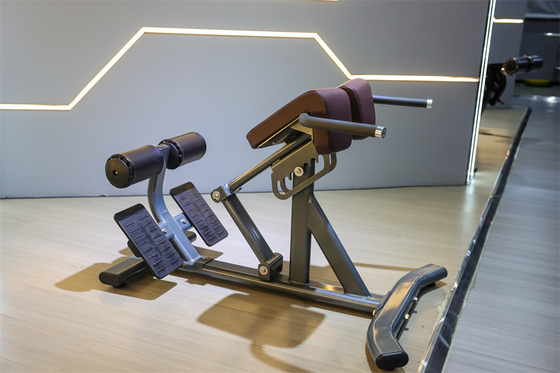 Commerciële fitnessapparatuur rugverlenging Romeinse stoel met 1360*790*880 metalen frame