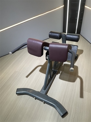 Commerciële fitnessapparatuur rugverlenging Romeinse stoel met 1360*790*880 metalen frame