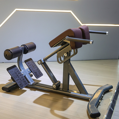 Commerciële fitnessapparatuur rugverlenging Romeinse stoel met 1360*790*880 metalen frame