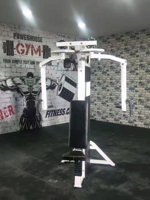 Medium Loader Commercial Exercise Machine Breast Fly/Rear Deltoid Selection Equipment