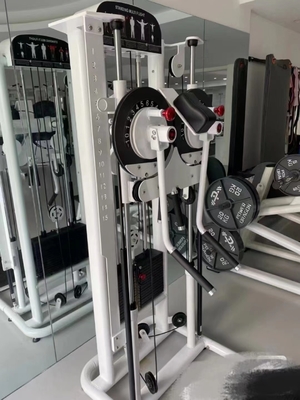 Krachttraining Gymapparatuur met optioneel selecteerbare frame kleur en materialen