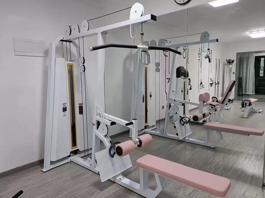 Commerciële sportschool fitnessapparatuur zit laag in de rij met een aangepast logo