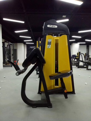 Gepersonaliseerde zittende dip/triceps extensie medium loader gymapparatuur voor fitness