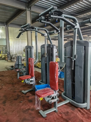 Gym Pin Load Equipment Achter Delt Pec Fly Machine Op maat gemaakt voor krachttraining