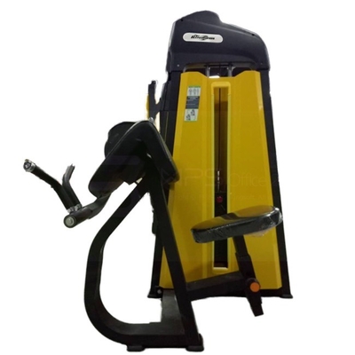 1380*930*1580 Commercial Strength Machine Camber Curl voor sportschoolapparatuur door Befreeman