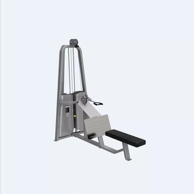 Optioneel Selecteerbare Frame Kleur Befreeman Gym Zit laag rij voor krachttraining