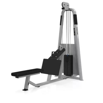 Optioneel Selecteerbare Frame Kleur Befreeman Gym Zit laag rij voor krachttraining
