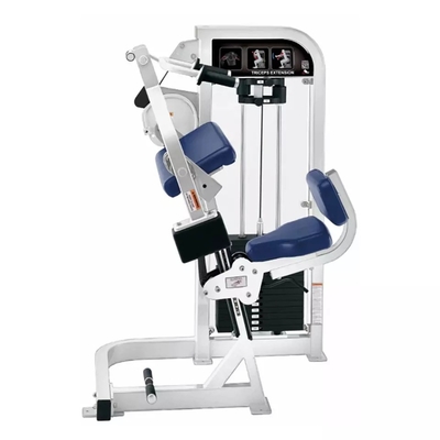 Gepersonaliseerde Medium Loader Triceps Extension Gym voor resultaten door Befreeman Strength