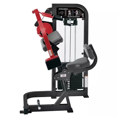 Gepersonaliseerde Medium Loader Triceps Extension Gym voor resultaten door Befreeman Strength