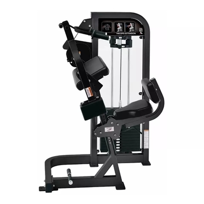 Gepersonaliseerde Medium Loader Triceps Extension Gym voor resultaten door Befreeman Strength