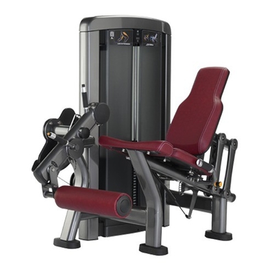 Lastechniek TIG Lastechniek Leg Extension en Curl Gym apparatuur voor commerciële