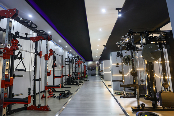 Optioneel Selecteerbaar Frame Kleur Commerciële zittende rij Fitness Bodybuilding apparatuur