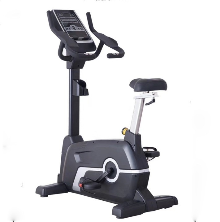 Aanpasbare frame kleur Befreeman Magnetische rechtopbeweging fiets voor cardio training