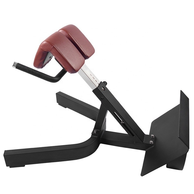 Krachttraining Multifunctioneel Arm Curl Back Extension Bench Romeinse stoel voor Unisex