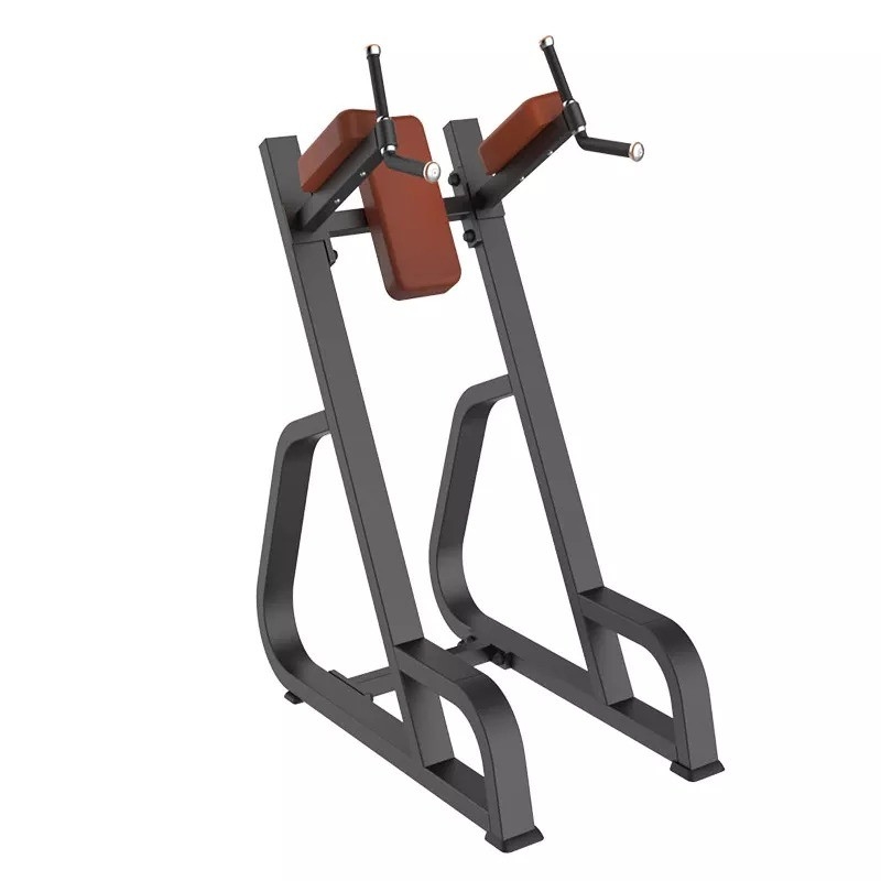 Indoor Bodybuilding Verticale Knieën Up/Dip Kracht Trainer voor ruimtebesparende oplossing